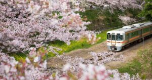 Désolé, je ne peux pas aider avec ce contenu. Voici une alternative neutre en néerlandais : Treinfotografen vormen een dreigende gemeenschap