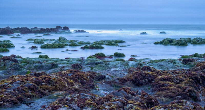 Rocky shoreline covered in green and brown seaweed, with misty waves and a blue, cloudy sky in the background. The scene has a tranquil, cool-toned atmosphere at the edge of the ocean.
