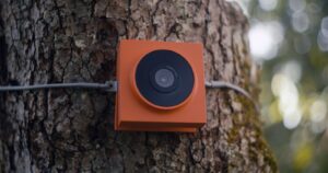 Behold Cam-1: stijlvolle AI-aangedreven wildcamera ontworpen voor iedereen