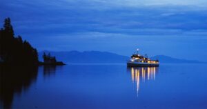 Filmfotografie in 2025: blauwer en minder verzadigd