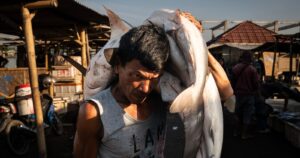 Fotograaf onthult na negen maanden onderzoek de verborgen schade van de visserij