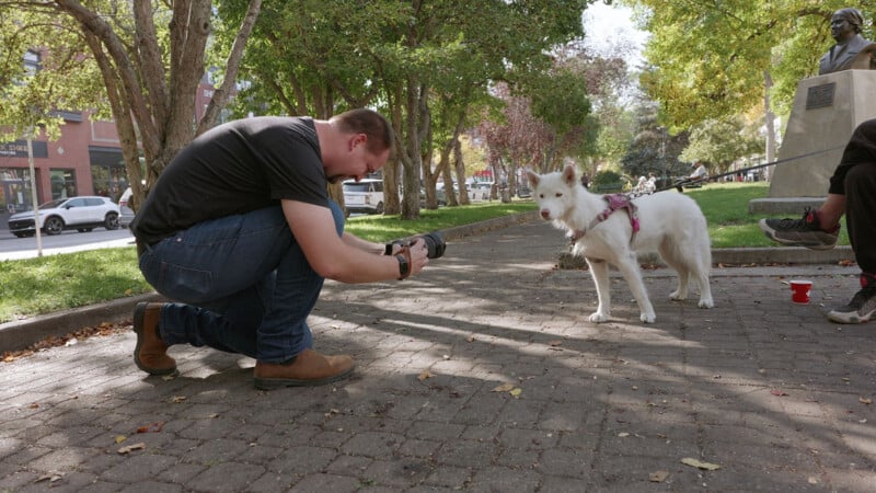 A man crouches on a paved park path, taking a photo of a white dog on a leash. The dog stands alert, facing the camera. Trees, benches, and people are visible in the background on a sunny day.