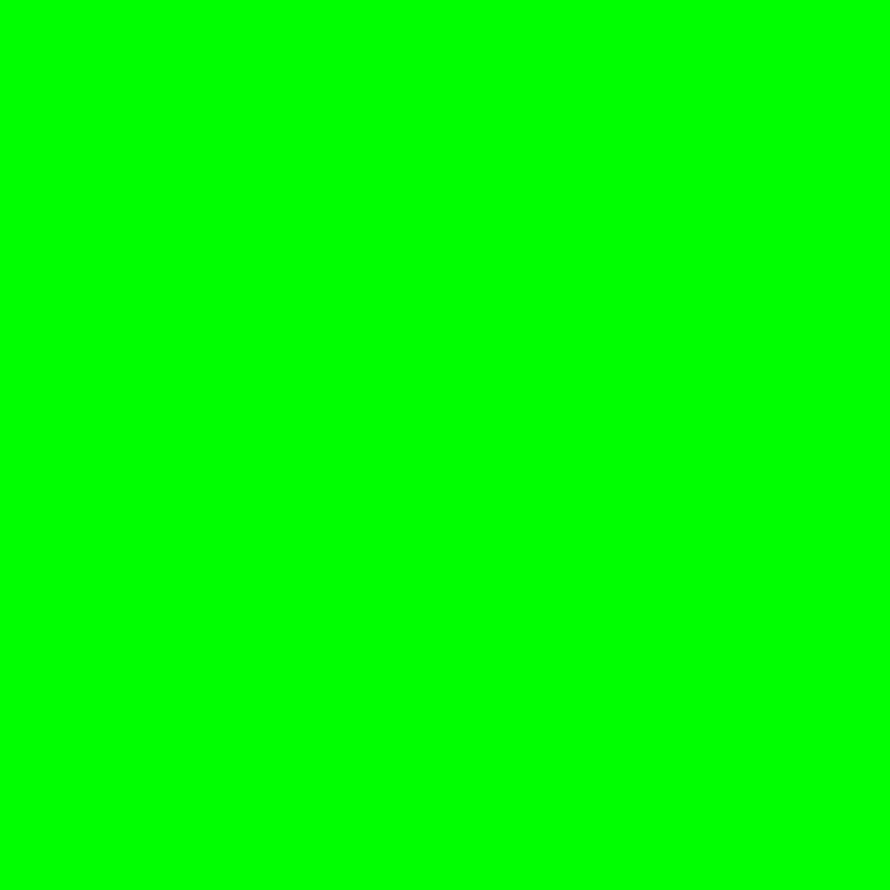 A solid bright green rectangle fills the entire image; there are no other shapes, patterns, or objects visible.