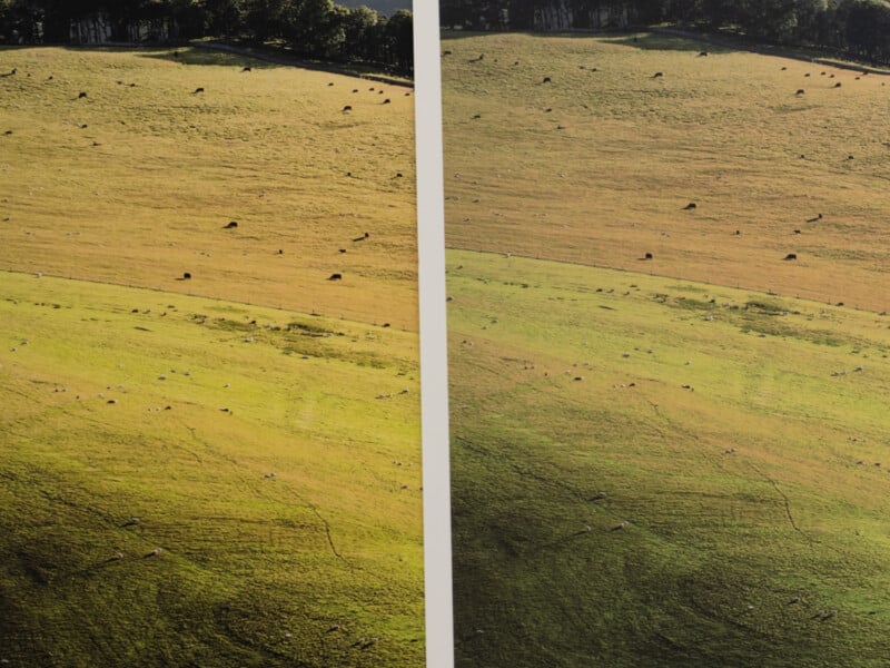 Side-by-side comparison of a hilly grass field with scattered dark rocks; the left side appears less vibrant, while the right side has greener, brighter hues. A tree line is visible at the top of both images.