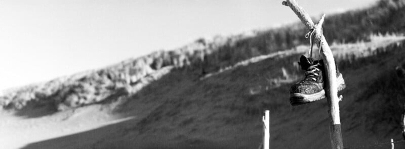 A single hiking boot hangs by its laces from a bare tree branch, with a blurred, hilly landscape in the background, all captured in black and white.