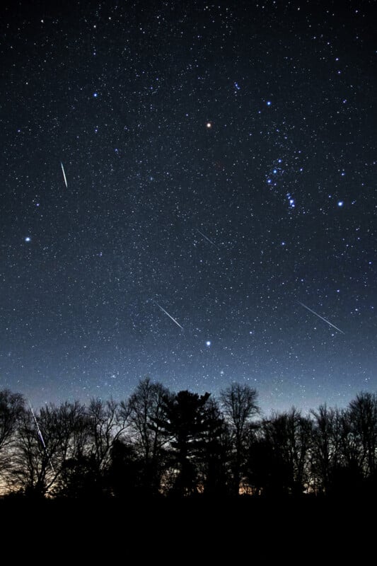 A clear night sky filled with stars and several bright meteors streaking across, above the silhouettes of leafless trees on the horizon.
