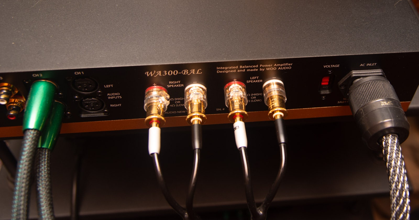 Back Panel of the Woo Audio WA300-BAL