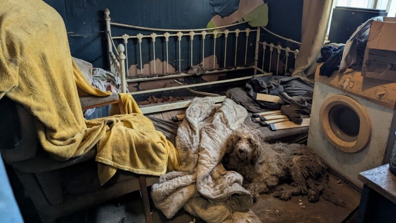 A messy, dimly-lit room with peeling paint, a broken bed frame, scattered wooden planks, and a washing machine. A dirty dog lies on a rumpled blanket amidst the clutter. A chair with a yellow towel draped over it is in the corner.