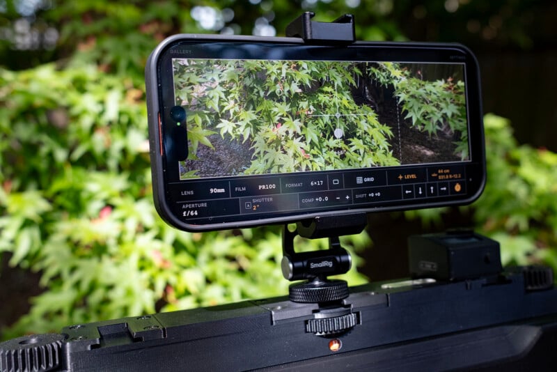 A smartphone mounted on a rig displays a camera app interface while filming green maple leaves outdoors in bright sunlight. The screen shows camera settings and a preview of the leaves.