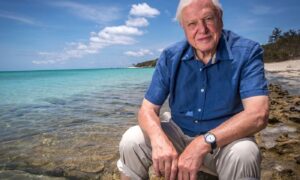 David Attenborough wordt 100 jaar: bekijk zijn hoogtepunten op YouTube