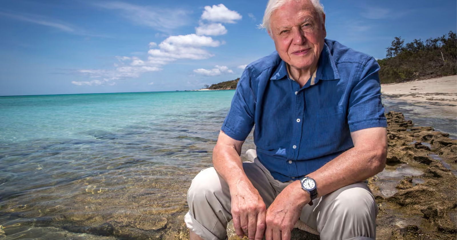 David Attenborough wordt 100 jaar: bekijk zijn hoogtepunten op YouTube