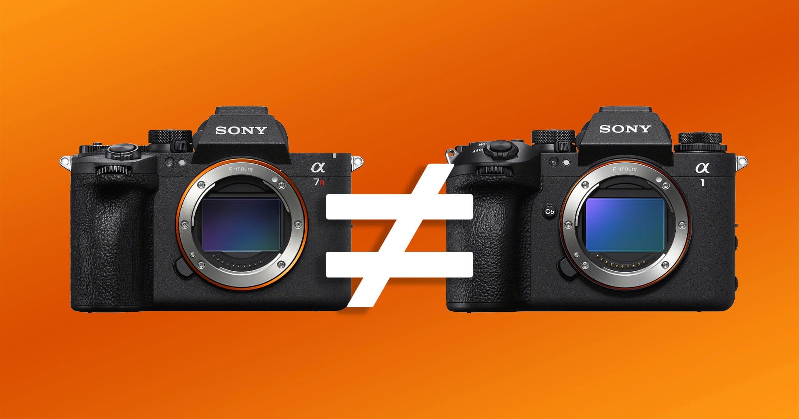Nee, de Sony a7R VI maakt de Alpha 1 II niet overbodig
