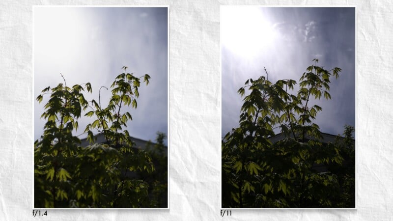 Two side-by-side photos of a leafy tree with bright sunlight above, labeled f/1.4 (left) and f/11 (right), showing differences in exposure and detail due to the camera aperture settings.