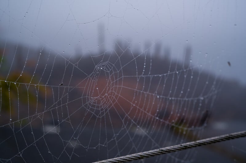 A close-up of a spiderweb covered in dewdrops, with a foggy, blurred background and indistinct shapes of trees or structures. The web is detailed and slightly glistening.