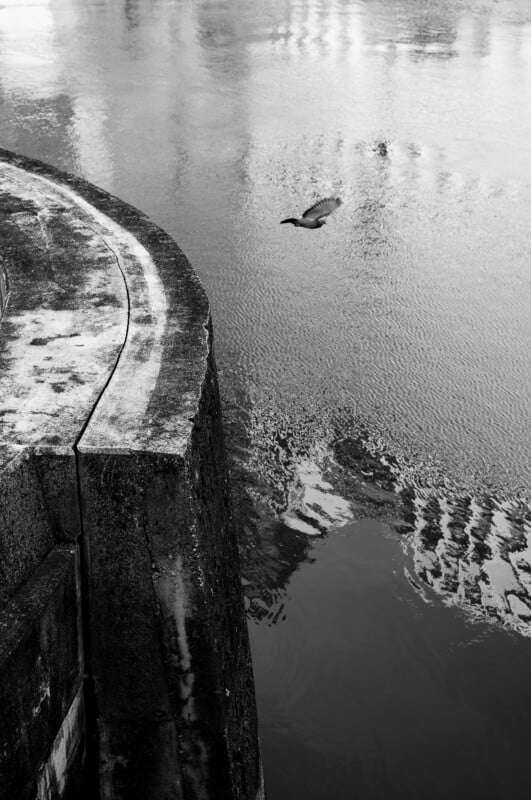 A black-and-white photo of a concrete riverbank curving along calm water. A single bird floats on the water, with reflections of structures visible on the water’s surface. The scene appears peaceful and quiet.