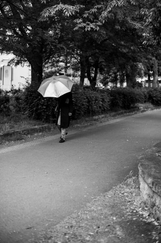 A person walks alone on a paved path holding an umbrella, surrounded by trees and bushes. The image is in black and white, creating a calm and quiet atmosphere.