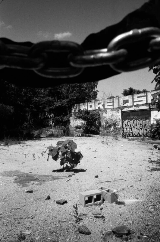 A black and white photo of an abandoned lot with graffiti-covered walls, scattered debris, and a chain hanging at the top. A small plant grows amid the rubble, and broken concrete blocks lie on the ground.
