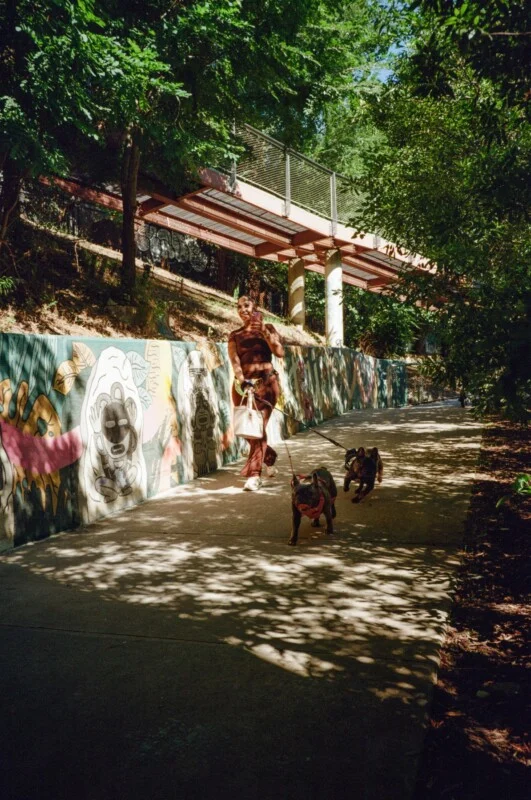 A person walks two small dogs along a sunlit, tree-lined path with colorful graffiti art on a wall beside them. Shadows from the trees create patterns on the sidewalk.