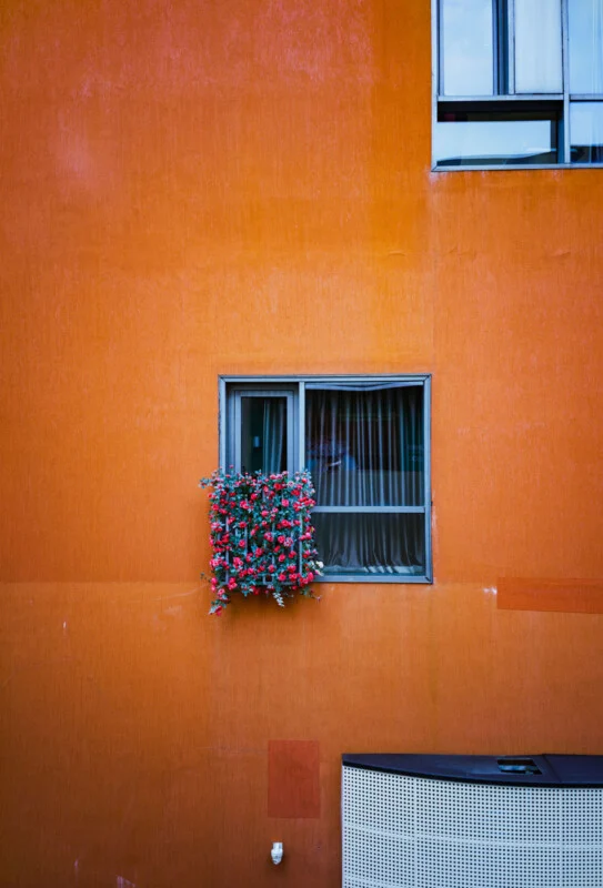 A window with striped curtains and a flower box with red flowers is set in an orange wall. Another window and a white vent or panel are visible at the top and bottom right corners, respectively.