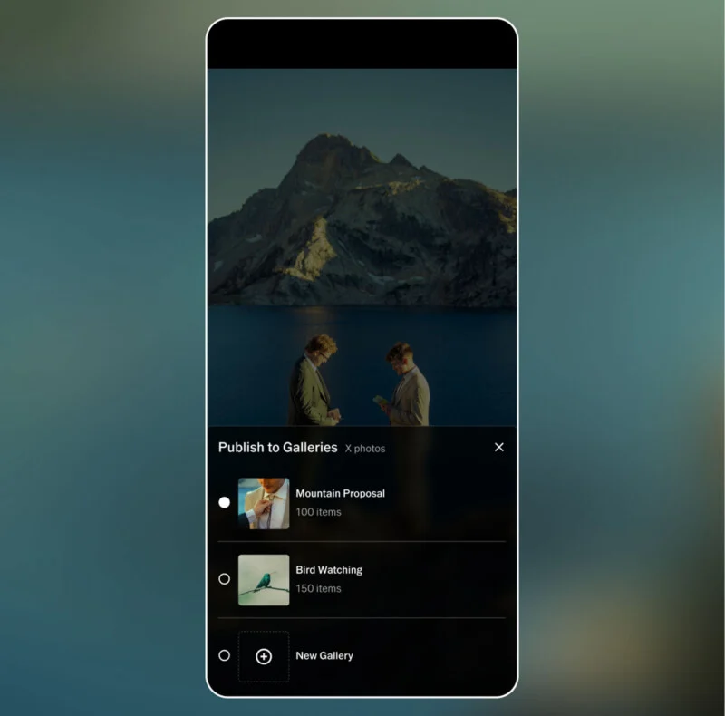 Two people stand facing each other by a lake with mountains in the background. A gallery interface overlays the image, showing album options: "Mountain Proposal," "Bird Watching," and "New Gallery.