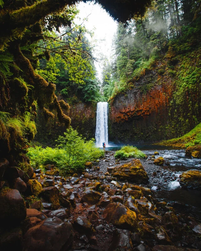 A person stands near the base of a tall, narrow waterfall cascading into a rocky pool, surrounded by lush green moss, ferns, and dense forest under a bright, misty sky.