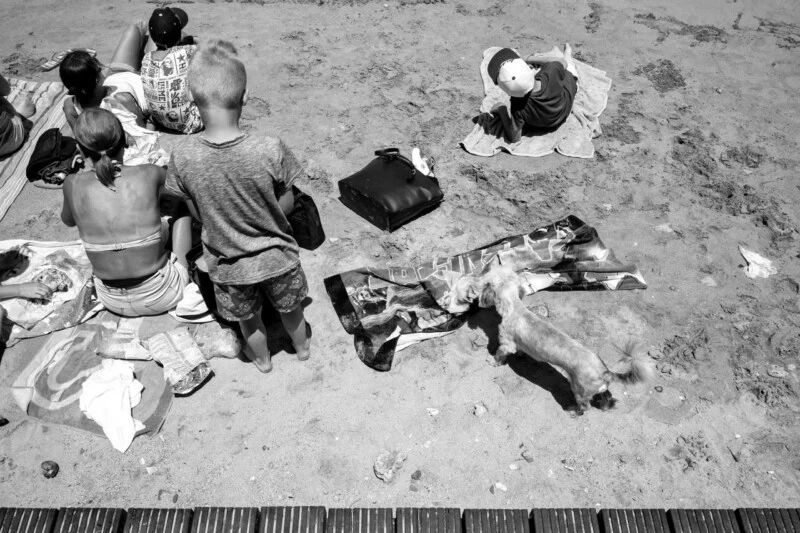 Black and white photo of people sitting on towels at a sandy beach, with children facing away, a small dog sniffing a towel, and personal items like bags scattered around.
