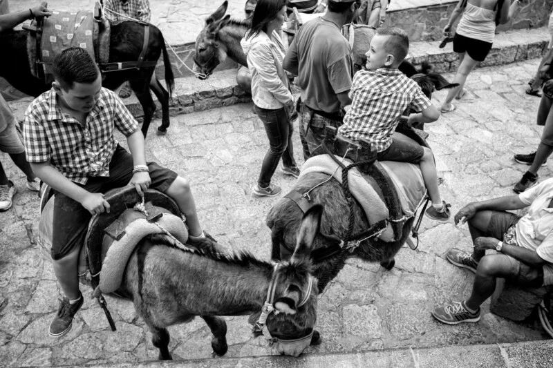 Two boys, each riding a donkey, are surrounded by people on a cobblestone path. The scene is busy, with adults and other donkeys nearby. The image is in black and white.