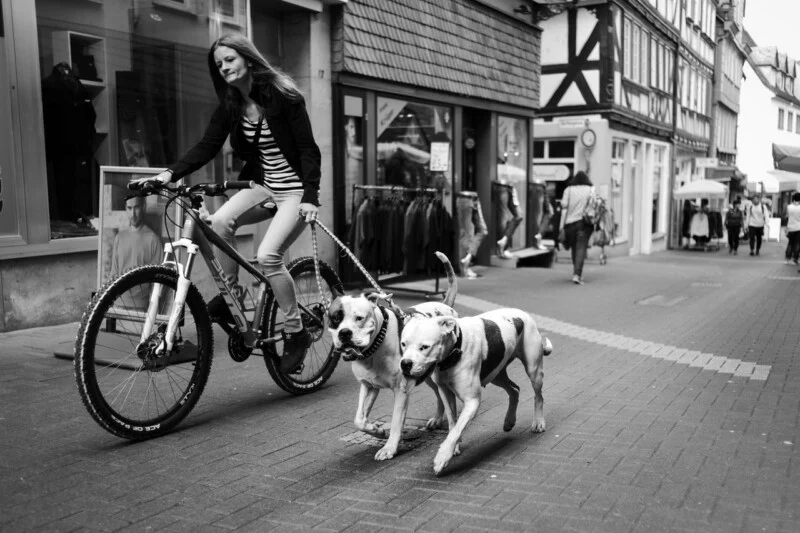 A woman rides a bicycle down a city street while holding leashes attached to two large dogs walking beside her. Shops and pedestrians are visible in the background. The image is in black and white.