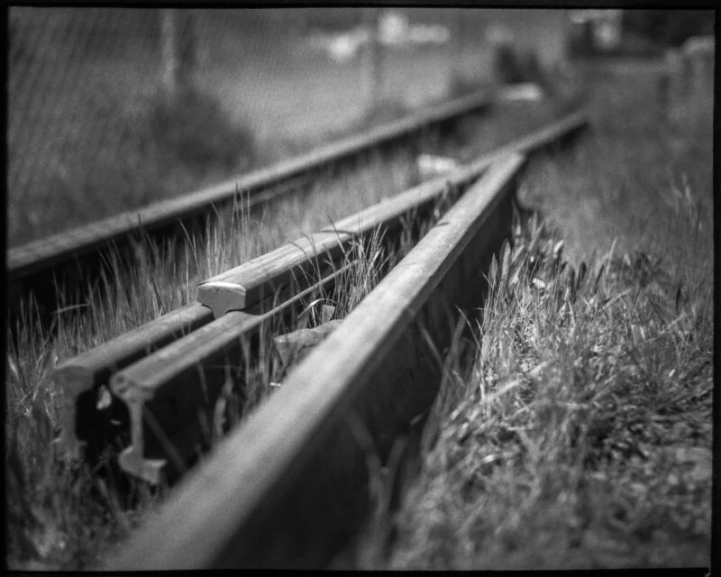 Black and white photo of overgrown, unused railroad tracks, with grass growing between and around the rails, captured from a low angle and showing a blurred background.