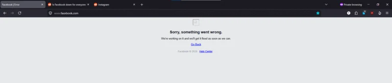 A browser window displays a Facebook error page with the message: "Sorry, something went wrong. We're working on it and we'll get it fixed as soon as we can." The page offers "Go Back" and "Help Center" links.