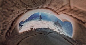 Hoe Fotografen Insta360-camera's Gebruiken om Haaien te Beschermen