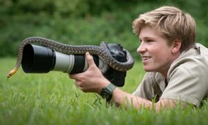 AI ontneemt de kunst van de fotografie, aldus Robert Irwin