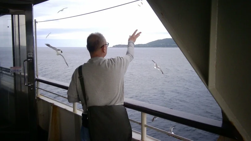 A man in a grey long-sleeved shirt and a shoulder bag stands on a ferry deck, reaching out to feed seagulls flying over the ocean.