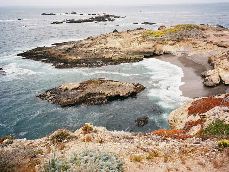 A rocky coastline with a small sandy cove, crashing waves, and patches of colorful coastal vegetation.