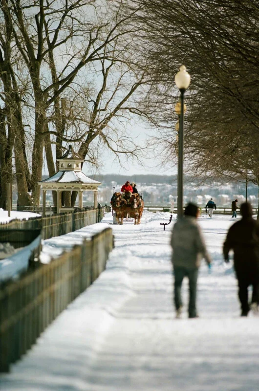 A horse-drawn carriage travels along a snow-covered path past a gazebo, while pedestrians walk in the foreground.