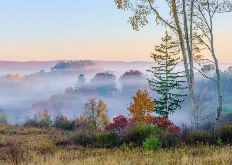 A misty autumn landscape features colorful trees emerging from low-hanging fog under a soft, pale sky.