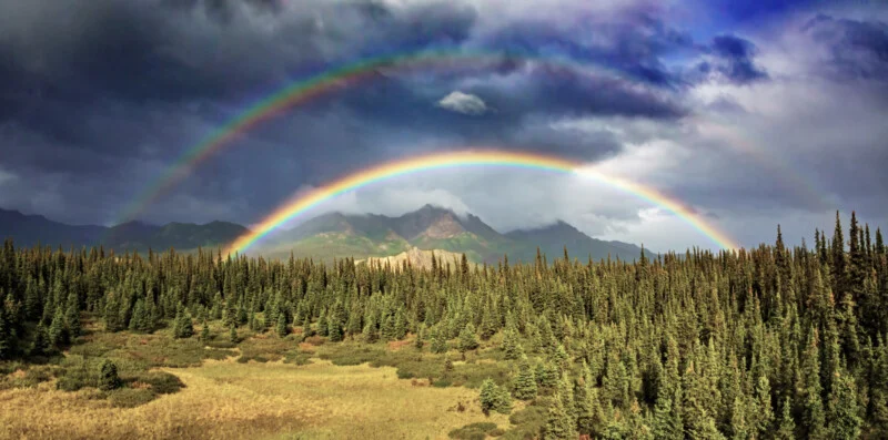 A double rainbow arches over a vast evergreen forest and a mountain range under a dramatic, cloudy sky.