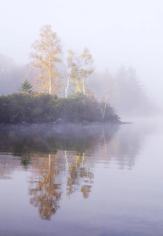 A calm lake reflects a small, fog-covered island with birch trees in autumn foliage.