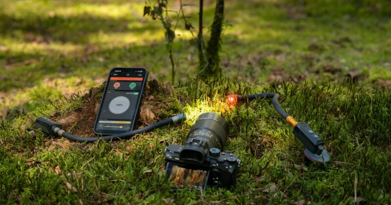 A smartphone displaying a lighting control app sits on a mossy forest floor next to a camera with two flexible LED lights attached.