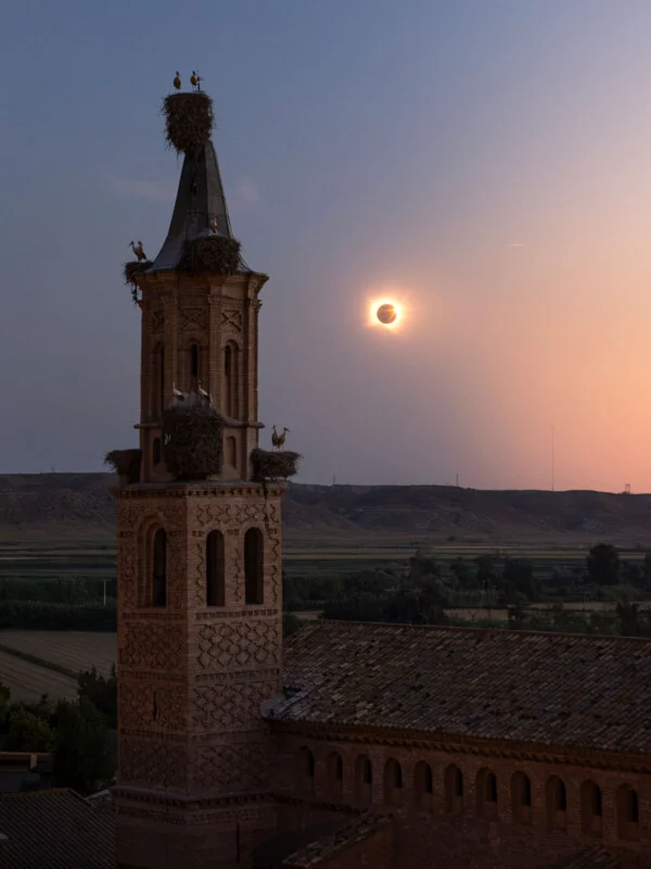 Een hoge, sierlijke bakstenen kerktoren met meerdere ooievaarsnesten, tegen een ondergaande zon boven een vissersachtige horizon.