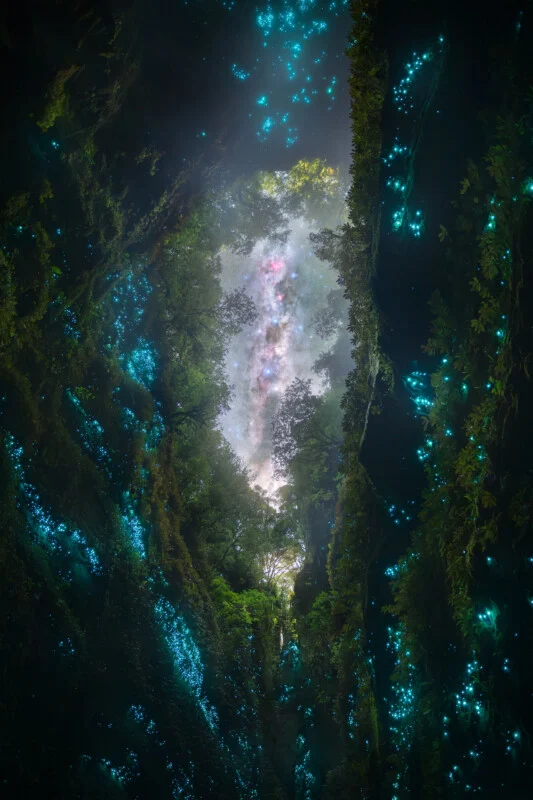 A narrow, mossy canyon wall covered in glowing blue bioluminescent organisms opens up to a view of a starry night sky.