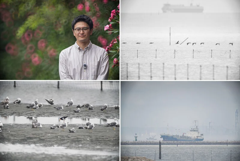 A collage featuring a portrait of a man, a line of birds flying over water, a group of shorebirds on a mudflat, and a ship at sea.