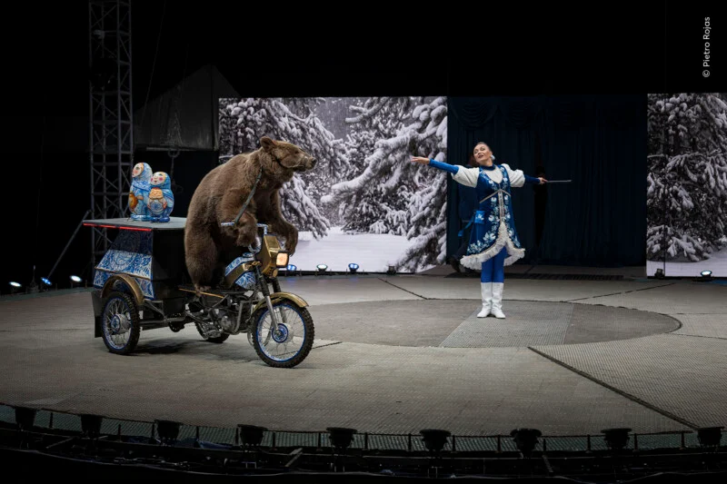 A brown bear sits on a decorated three-wheeled motorcycle on a circus stage, while a woman in a blue and white traditional costume stands nearby with her arm extended.