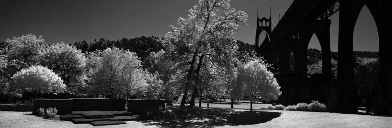 A black-and-white infrared panoramic view of a park with bright white trees, a dark stone platform, and a large bridge structure.