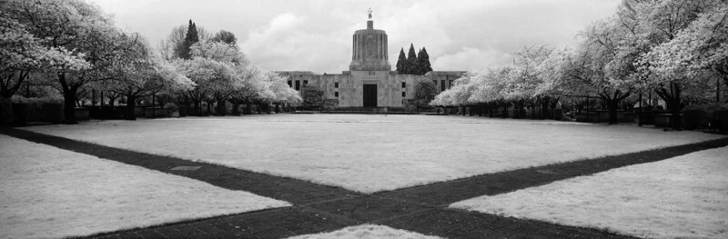 A black-and-white infrared photograph shows a large government building with a central dome and statue, framed by rows of blooming trees and a paved cross-shaped walkway.
