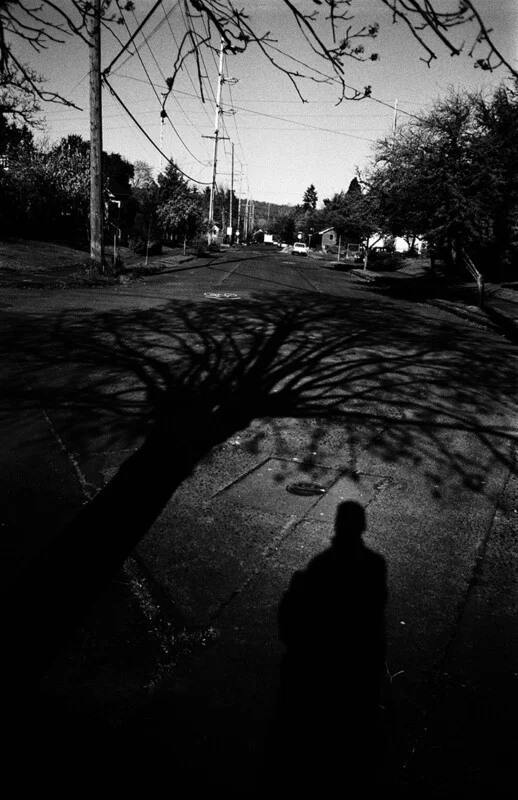 A high-contrast black and white shot shows the long shadow of a person and a tree cast across an empty residential street.