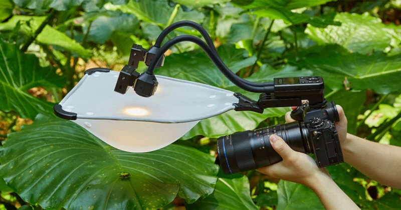 A person holds a camera equipped with a macro flash system featuring two flexible arms and a white diffuser hood positioned over a small beetle on a large green leaf.