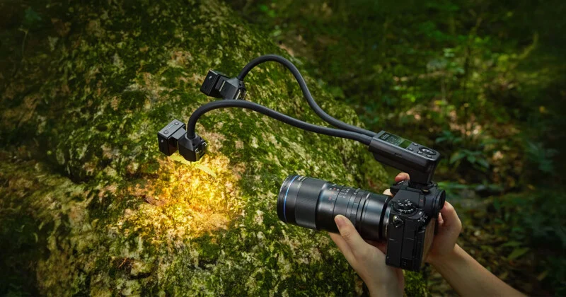 A person holds a camera with a dual-arm macro lighting system attached, illuminating a patch of moss on a tree trunk.