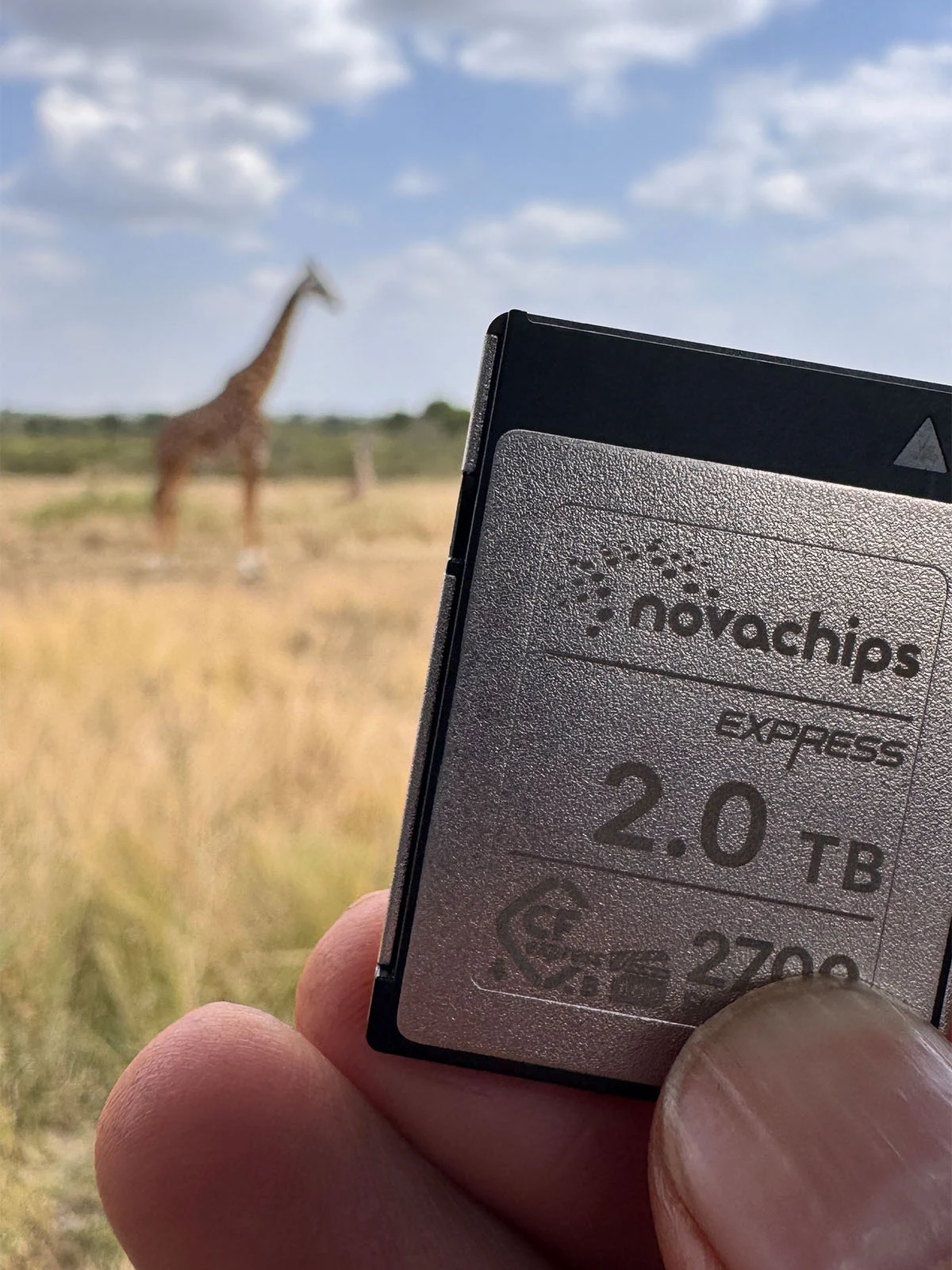 A hand holds a Novachips Express 2.0 TB memory card in the foreground, with a blurred giraffe standing in a grassy field in the background.