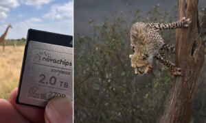 Waarom de bekroonde natuurfotograaf Amish Chhagan vertrouwt op Novachips geheugenkaarten